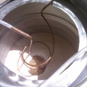 Meet your Posher, Brayden